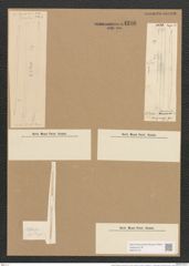 Nitzschia linearis var. tenuis (W. Sm.) Grun. (de-Toni-Nr.: Genus 47, Species 2111) Zeichnungen Sammlung Grunow Nr. 4226 (NHMW-BOT-W0372172)